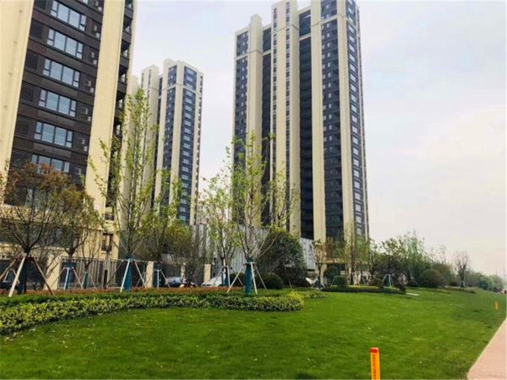 timg (2)_副本.jpg